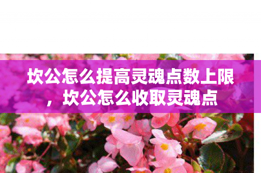 坎公怎么提高灵魂点数上限，坎公怎么收取灵魂点