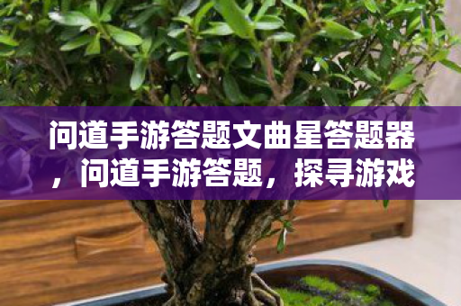问道手游答题文曲星答题器,问道手游答题,探寻游戏中的智慧与乐趣 问道手游答题文曲星答题器,问道手游答题,探寻游戏中的智慧与乐趣