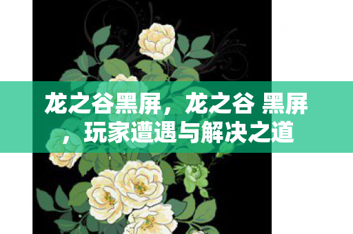 龙之谷黑屏,龙之谷 黑屏,玩家遭遇与解决之道 龙之谷黑屏,龙之谷 黑屏,玩家遭遇与解决之道