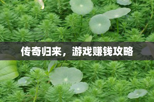 传奇归来,游戏赚钱攻略 传奇归来,游戏赚钱攻略