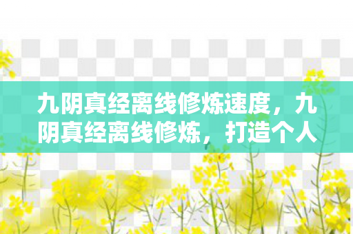 九阴真经离线修炼速度，九阴真经离线修炼，打造个人修炼新境界