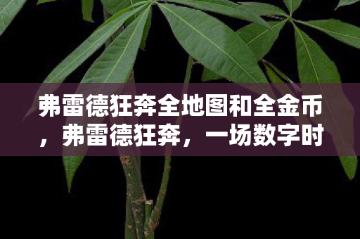 弗雷德狂奔全地图和全金币，弗雷德狂奔，一场数字时代的娱乐革命