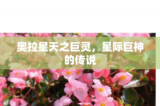 奥拉星天之巨灵,星际巨神的传说 奥拉星天之巨灵,星际巨神的传说