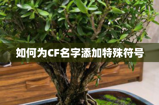 如何为CF名字添加特殊符号 如何为CF名字添加特殊符号