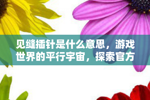 见缝插针是什么意思,游戏世界的平行宇宙,探索官方与私服的微妙差异 见缝插针是什么意思,游戏世界的平行宇宙,探索官方与私服的微妙差异