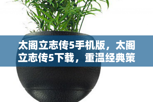 太阁立志传5手机版,太阁立志传5下载,重温经典策略游戏的魅力 太阁立志传5手机版,太阁立志传5下载,重温经典策略游戏的魅力