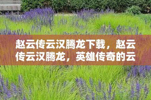 赵云传云汉腾龙下载,赵云传云汉腾龙,英雄传奇的云端再现 赵云传云汉腾龙下载,赵云传云汉腾龙,英雄传奇的云端再现