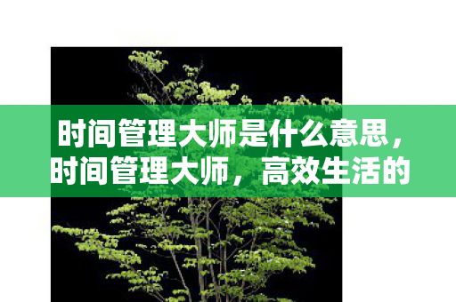 时间管理大师是什么意思,时间管理大师,高效生活的秘密武器 时间管理大师是什么意思,时间管理大师,高效生活的秘密武器
