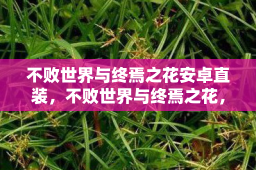不败世界与终焉之花安卓直装,不败世界与终焉之花,探索虚拟世界的无限可能 不败世界与终焉之花安卓直装,不败世界与终焉之花,探索虚拟世界的无限可能