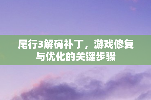 尾行3解码补丁,游戏修复与优化的关键步骤 尾行3解码补丁,游戏修复与优化的关键步骤