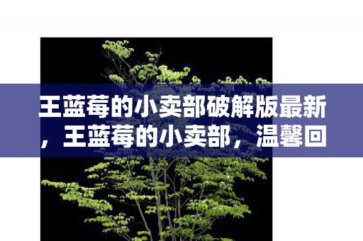王蓝莓的小卖部破解版最新,王蓝莓的小卖部,温馨回忆与童年时光的交汇点 王蓝莓的小卖部破解版最新,王蓝莓的小卖部,温馨回忆与童年时光的交汇点