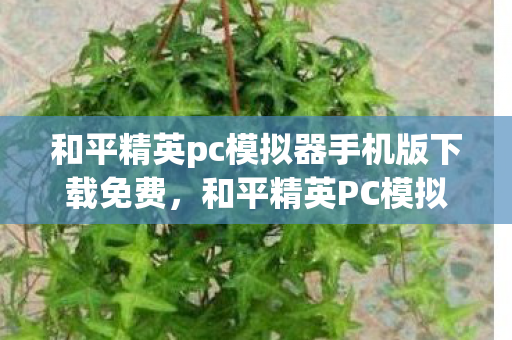 和平精英pc模拟器手机版下载免费,和平精英PC模拟器手机版下载,流畅体验与操作优化指南 和平精英pc模拟器手机版下载免费,和平精英PC模拟器手机版下载,流畅体验与操作优化指南