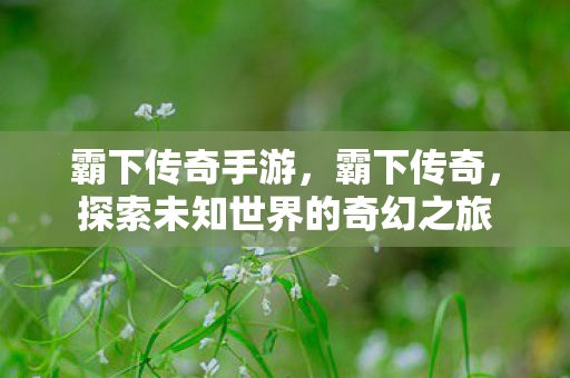 霸下传奇手游,霸下传奇,探索未知世界的奇幻之旅 霸下传奇手游,霸下传奇,探索未知世界的奇幻之旅