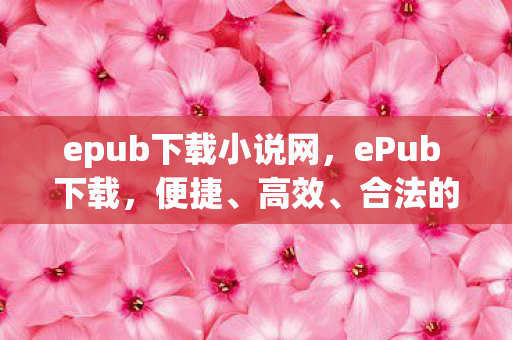 epub下载小说网，ePub 下载，便捷、高效、合法的阅读新选择
