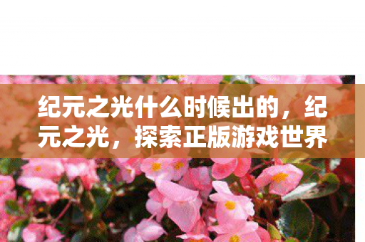 纪元之光什么时候出的,纪元之光,探索正版游戏世界的无限可能 纪元之光什么时候出的,纪元之光,探索正版游戏世界的无限可能