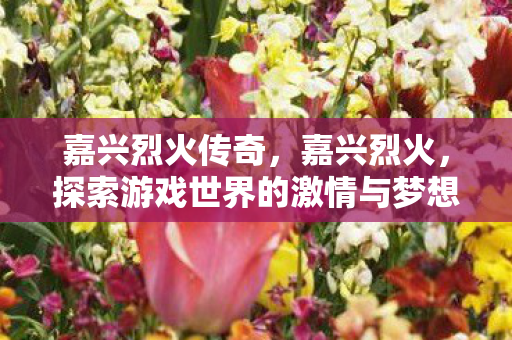 嘉兴烈火传奇,嘉兴烈火,探索游戏世界的激情与梦想 嘉兴烈火传奇,嘉兴烈火,探索游戏世界的激情与梦想
