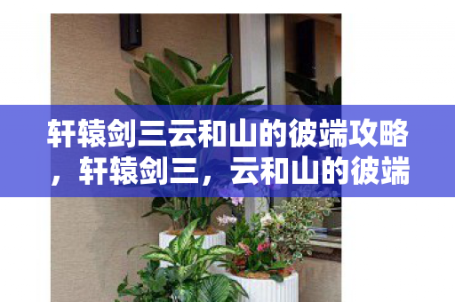 轩辕剑三云和山的彼端攻略,轩辕剑三,云和山的彼端—探寻经典游戏的魅力与影响 轩辕剑三云和山的彼端攻略,轩辕剑三,云和山的彼端—探寻经典游戏的魅力与影响