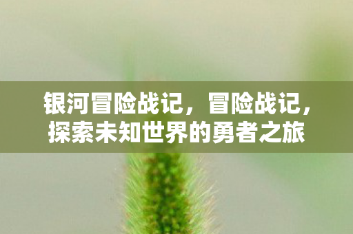 银河冒险战记,冒险战记,探索未知世界的勇者之旅 银河冒险战记,冒险战记,探索未知世界的勇者之旅