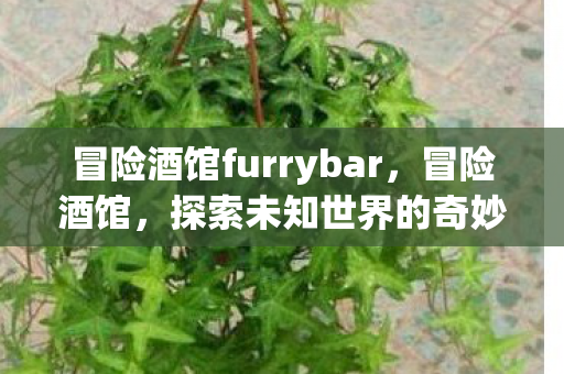 冒险酒馆furrybar,冒险酒馆,探索未知世界的奇妙之旅 冒险酒馆furrybar,冒险酒馆,探索未知世界的奇妙之旅