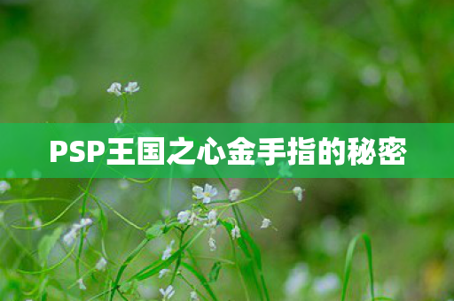 PSP王国之心金手指的秘密