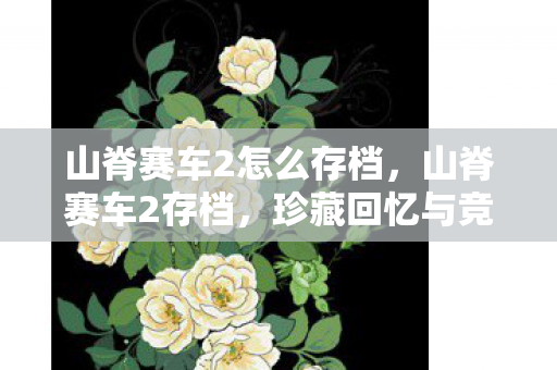 山脊赛车2怎么存档，山脊赛车2存档，珍藏回忆与竞速激情的延续