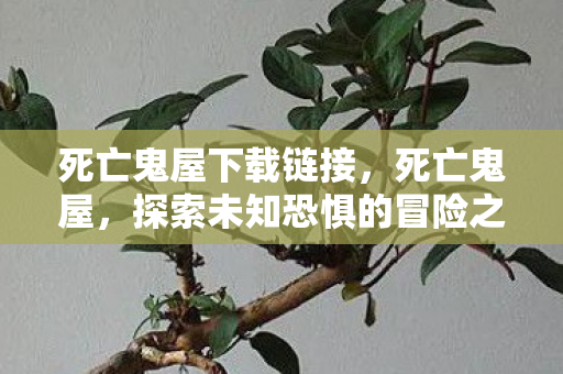 死亡鬼屋下载链接,死亡鬼屋,探索未知恐惧的冒险之旅 死亡鬼屋下载链接,死亡鬼屋,探索未知恐惧的冒险之旅