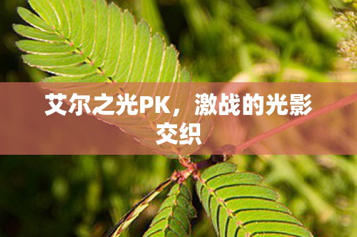 艾尔之光PK,激战的光影交织 艾尔之光PK,激战的光影交织