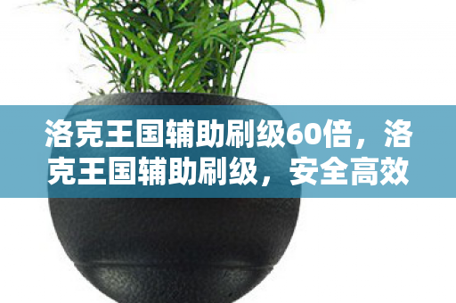 洛克王国辅助刷级60倍，洛克王国辅助刷级，安全高效提升等级