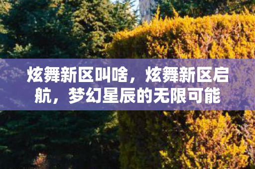 炫舞新区叫啥,炫舞新区启航,梦幻星辰的无限可能 炫舞新区叫啥,炫舞新区启航,梦幻星辰的无限可能