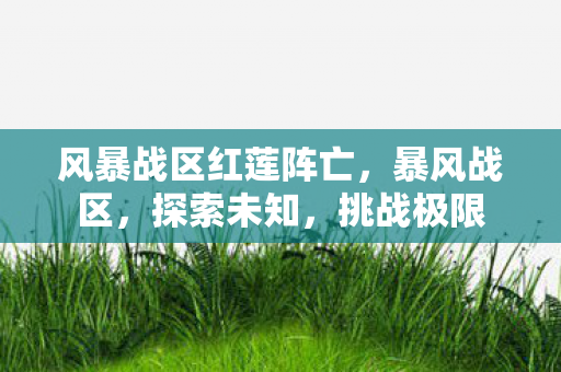 风暴战区红莲阵亡,暴风战区,探索未知,挑战极限 风暴战区红莲阵亡,暴风战区,探索未知,挑战极限