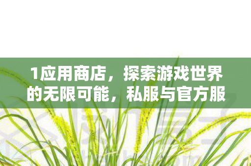 1应用商店,探索游戏世界的无限可能,私服与官方服务器的独特魅力 1应用商店,探索游戏世界的无限可能,私服与官方服务器的独特魅力