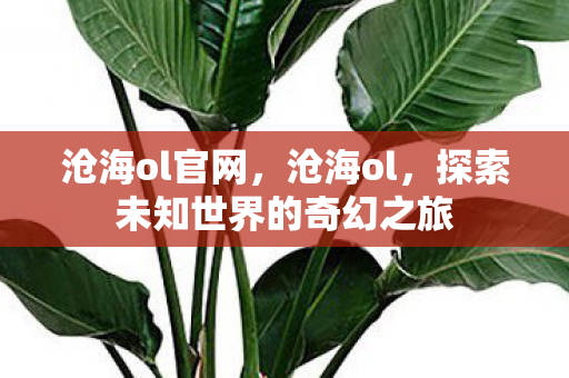 沧海ol官网,沧海ol,探索未知世界的奇幻之旅 沧海ol官网,沧海ol,探索未知世界的奇幻之旅