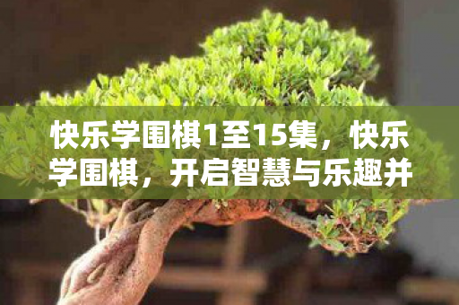 快乐学围棋1至15集,快乐学围棋,开启智慧与乐趣并存的围棋之旅 快乐学围棋1至15集,快乐学围棋,开启智慧与乐趣并存的围棋之旅