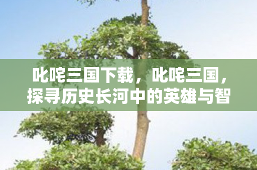 叱咤三国下载,叱咤三国,探寻历史长河中的英雄与智谋 叱咤三国下载,叱咤三国,探寻历史长河中的英雄与智谋