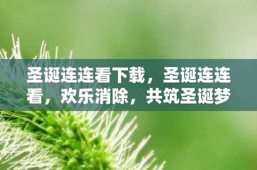 圣诞连连看下载,圣诞连连看,欢乐消除,共筑圣诞梦 圣诞连连看下载,圣诞连连看,欢乐消除,共筑圣诞梦