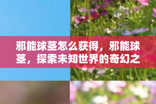 邪能球茎怎么获得,邪能球茎,探索未知世界的奇幻之旅 邪能球茎怎么获得,邪能球茎,探索未知世界的奇幻之旅