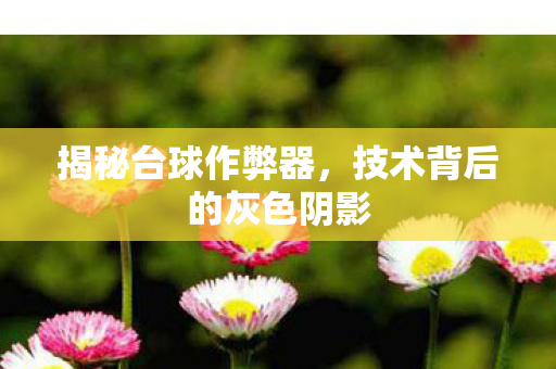 揭秘台球作弊器,技术背后的灰色阴影 揭秘台球作弊器,技术背后的灰色阴影