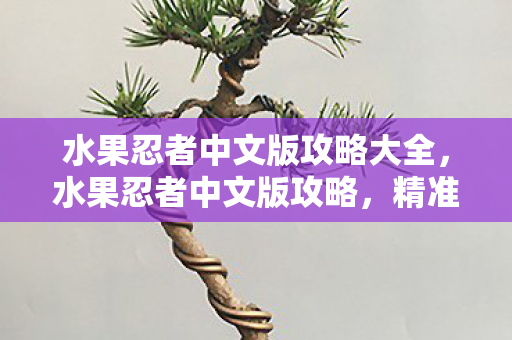 水果忍者中文版攻略大全,水果忍者中文版攻略,精准切割,高效得分! 水果忍者中文版攻略大全,水果忍者中文版攻略,精准切割,高效得分!