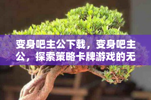 变身吧主公下载,变身吧主公,探索策略卡牌游戏的无限可能 变身吧主公下载,变身吧主公,探索策略卡牌游戏的无限可能