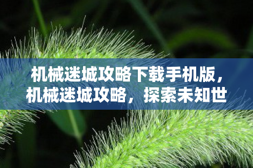 机械迷城攻略下载手机版图片
