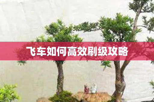 飞车如何高效刷级攻略