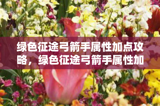 绿色征途弓箭手属性加点攻略,绿色征途弓箭手属性加点详解 绿色征途弓箭手属性加点攻略,绿色征途弓箭手属性加点详解