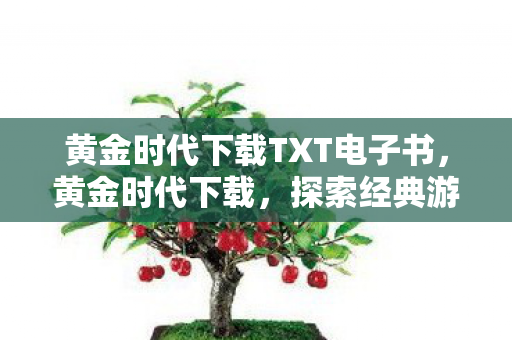黄金时代下载TXT电子书,黄金时代下载,探索经典游戏的数字复兴之路 黄金时代下载TXT电子书,黄金时代下载,探索经典游戏的数字复兴之路