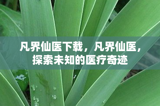 凡界仙医下载,凡界仙医,探索未知的医疗奇迹 凡界仙医下载,凡界仙医,探索未知的医疗奇迹