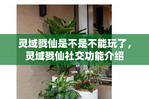 灵域戮仙是不是不能玩了,灵域戮仙社交功能介绍 灵域戮仙是不是不能玩了,灵域戮仙社交功能介绍
