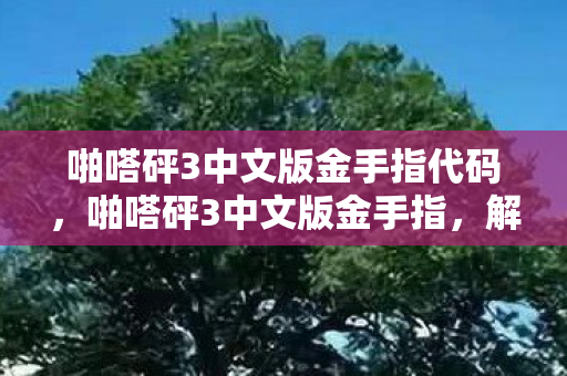 啪嗒砰3中文版金手指代码,啪嗒砰3中文版金手指,解锁无限可能,打造个性化游戏体验 啪嗒砰3中文版金手指代码,啪嗒砰3中文版金手指,解锁无限可能,打造个性化游戏体验
