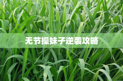 无节操妹子逆袭攻略 无节操妹子逆袭攻略