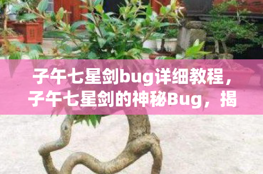 子午七星剑bug详细教程,子午七星剑的神秘Bug,揭秘古老剑法的未解之谜 子午七星剑bug详细教程,子午七星剑的神秘Bug,揭秘古老剑法的未解之谜
