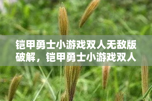 铠甲勇士小游戏双人无敌版破解,铠甲勇士小游戏双人无敌版,携手共战,畅享无限乐趣 铠甲勇士小游戏双人无敌版破解,铠甲勇士小游戏双人无敌版,携手共战,畅享无限乐趣