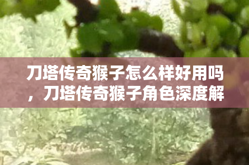 刀塔传奇猴子怎么样好用吗,刀塔传奇猴子角色深度解析 刀塔传奇猴子怎么样好用吗,刀塔传奇猴子角色深度解析